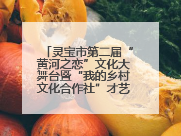 灵宝市第二届“黄河之恋”文化大舞台暨“我的乡村文化合作社”才艺大赛举办