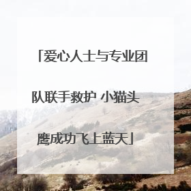 爱心人士与专业团队联手救护 小猫头鹰成功飞上蓝天