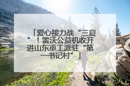 爱心接力战“三夏”！雷沃公益机收开进山东重工派驻“第一书记村”