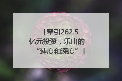 牵引262.5亿元投资，乐山的“速度和深度”