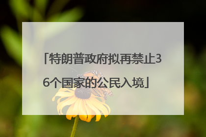 特朗普政府拟再禁止36个国家的公民入境