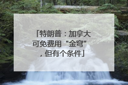 特朗普：加拿大可免费用“金穹”，但有个条件