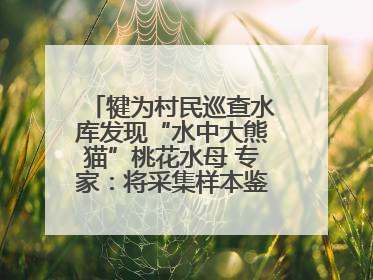 犍为村民巡查水库发现“水中大熊猫”桃花水母 专家：将采集样本鉴定具体种属