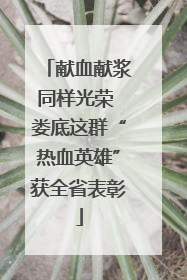 献血献浆同样光荣 娄底这群“热血英雄”获全省表彰