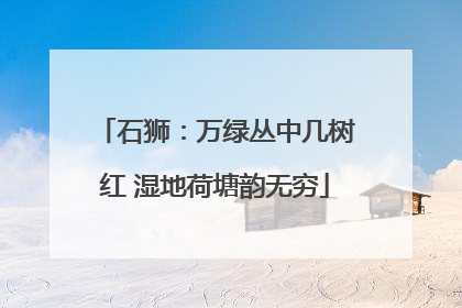 石狮：万绿丛中几树红 湿地荷塘韵无穷