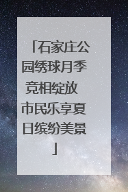 石家庄公园绣球月季竞相绽放 市民乐享夏日缤纷美景