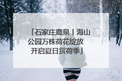 石家庄鹿泉丨海山公园万株荷花绽放 开启夏日赏荷季