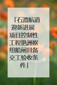 石澧航道迎新进展 项目控制性工程艳洲枢纽船闸具备交工验收条件