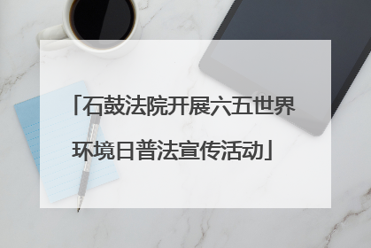 石鼓法院开展六五世界环境日普法宣传活动