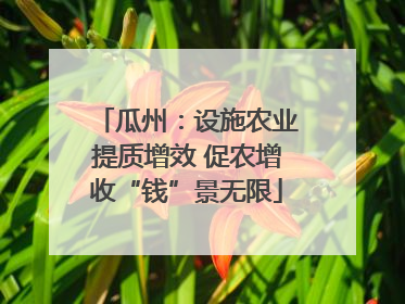 瓜州：设施农业提质增效 促农增收“钱”景无限