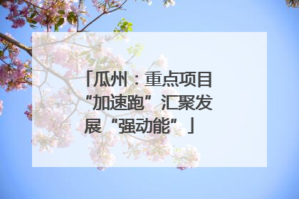 瓜州：重点项目“加速跑”汇聚发展“强动能”