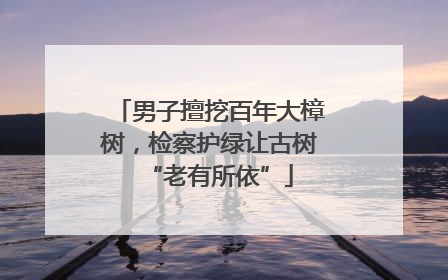 男子擅挖百年大樟树，检察护绿让古树“老有所依”