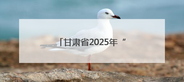 甘肃省2025年“爱心送考”活动启动