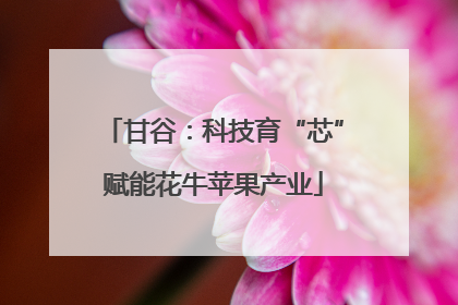 甘谷：科技育“芯”赋能花牛苹果产业
