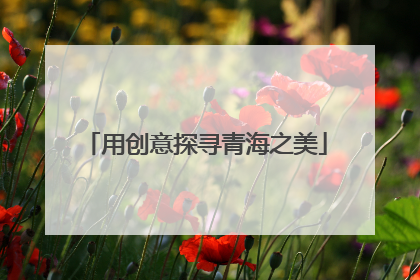 用创意探寻青海之美