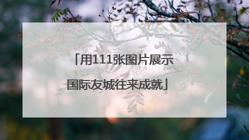 用111张图片展示国际友城往来成就