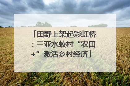 田野上架起彩虹桥：三亚水蛟村“农田+”激活乡村经济