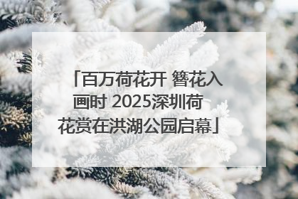 百万荷花开 簪花入画时 2025深圳荷花赏在洪湖公园启幕