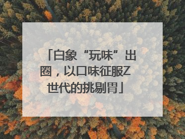 白象“玩味”出圈，以口味征服Z世代的挑剔胃