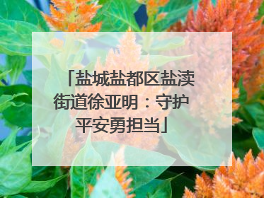 盐城盐都区盐渎街道徐亚明：守护平安勇担当