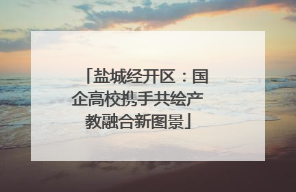 盐城经开区：国企高校携手共绘产教融合新图景