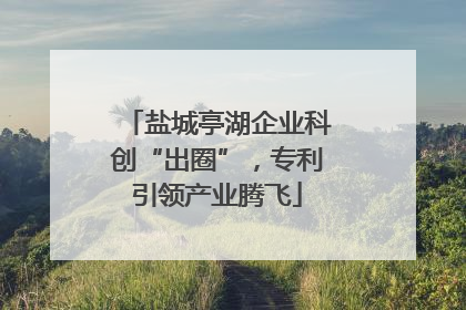 盐城亭湖企业科创“出圈”，专利引领产业腾飞