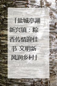 盐城亭湖新兴镇：粽香传情迎佳节 文明新风润乡村