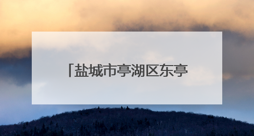 盐城市亭湖区东亭湖街道北林社区开展端午节主题活动