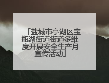 盐城市亭湖区宝瓶湖街道街道多维度开展安全生产月宣传活动
