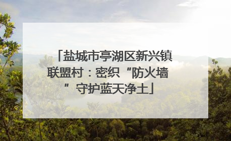盐城市亭湖区新兴镇联盟村：密织“防火墙”守护蓝天净土