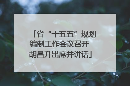 省“十五五”规划编制工作会议召开 胡昌升出席并讲话