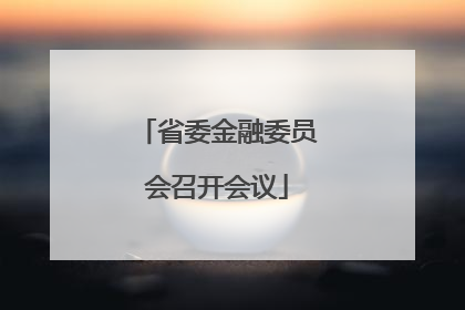 省委金融委员会召开会议