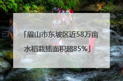 眉山市东坡区近58万亩水稻栽插面积超85%