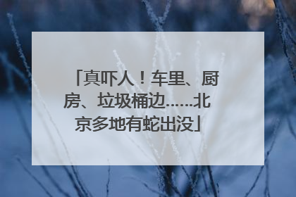真吓人！车里、厨房、垃圾桶边……北京多地有蛇出没
