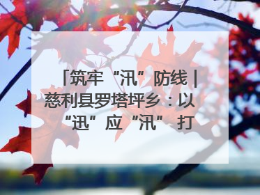 筑牢“汛”防线｜慈利县罗塔坪乡：以“迅”应“汛” 打赢暴雨防御战