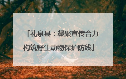 礼泉县：凝聚宣传合力构筑野生动物保护防线