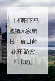 祁阳下马渡镇元家庙村：夏日荷花开 游客打卡热