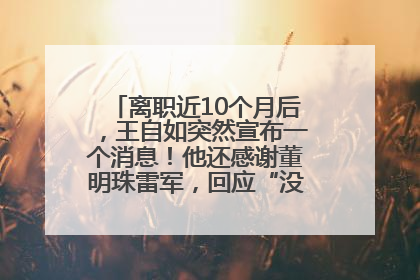 离职近10个月后，王自如突然宣布一个消息！他还感谢董明珠雷军，回应“没看过格力工资条”：真的不那么重要！