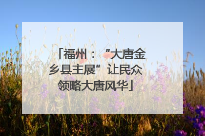 福州：“大唐金乡县主展”让民众领略大唐风华