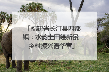 福建省长汀县四都镇：水韵圭田绘新景 乡村振兴谱华章