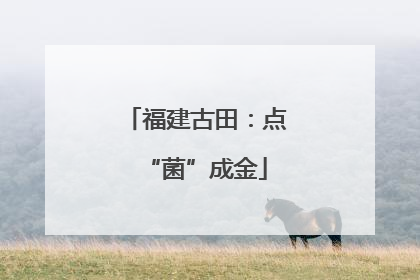 福建古田：点“菌”成金