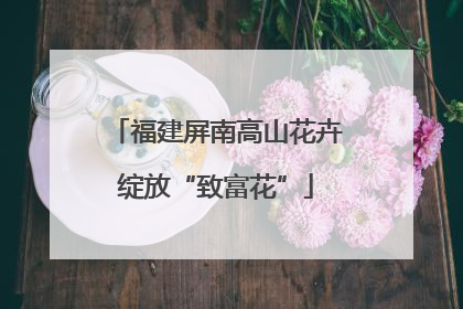 福建屏南高山花卉绽放“致富花”