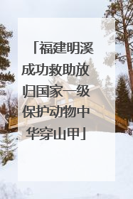 福建明溪成功救助放归国家一级保护动物中华穿山甲