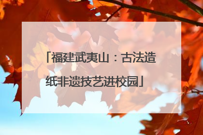 福建武夷山：古法造纸非遗技艺进校园