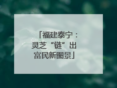 福建泰宁：灵芝“链”出富民新图景