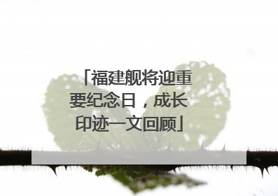 福建舰将迎重要纪念日，成长印迹一文回顾