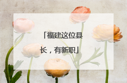 福建这位县长，有新职
