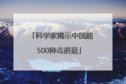 科学家揭示中国超500种毒蘑菇