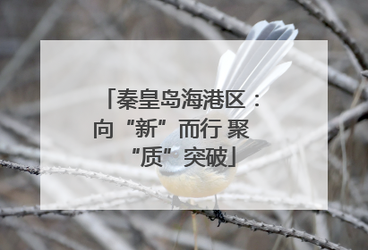 秦皇岛海港区：向“新”而行 聚“质”突破