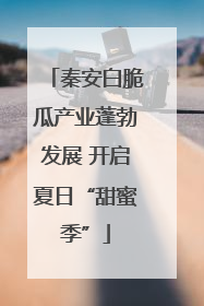 秦安白脆瓜产业蓬勃发展 开启夏日“甜蜜季”